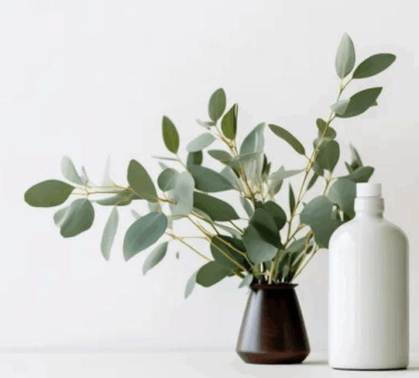 Eucalyptus Breeze Wax Melts